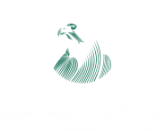 Securities and Commodities Authority